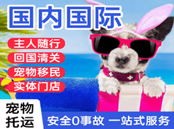景德镇罗家机场空运国际宠物托运 【国